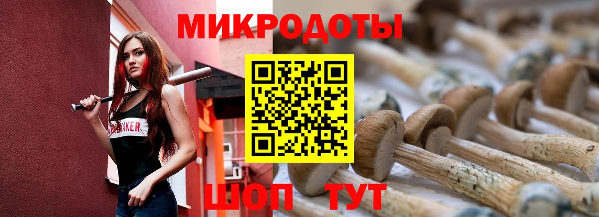 купить наркоту  Галлюциногенные грибы Magic Shrooms  Вход с VPN  Галлюциногенные грибы мицелий  Кропоткин 